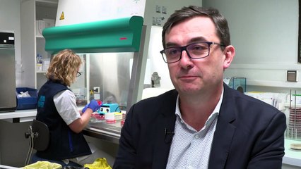 Los fagos, una posible alternativa a los antibióticos