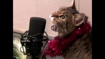 Animal Operas - Jingle Bells