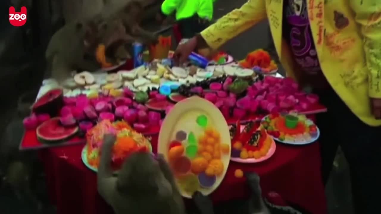 Monkey Feast in Thailand