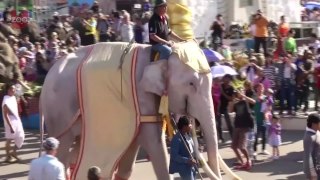 Elephants On Parade