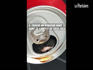 Download Video: Il retrouve un rongeur dans sa canette de Coca-Cola