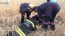 Konya 12 Metre Derinliğindeki Sondaj Kuyusuna Düşen Yavru Köpek Kurtarıldı