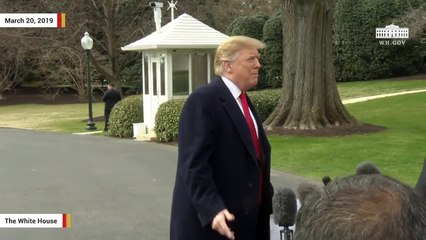 Trump Calls George Conway A 'Wack Job'