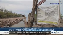 Saat Pepohonan Bakau tak Lagi Rindang