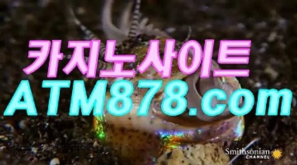 ウ슈퍼카지노 ▷STK424. CΟM◁