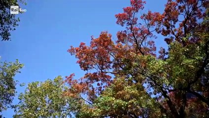 3 Vermeer - Cartografia d'amore