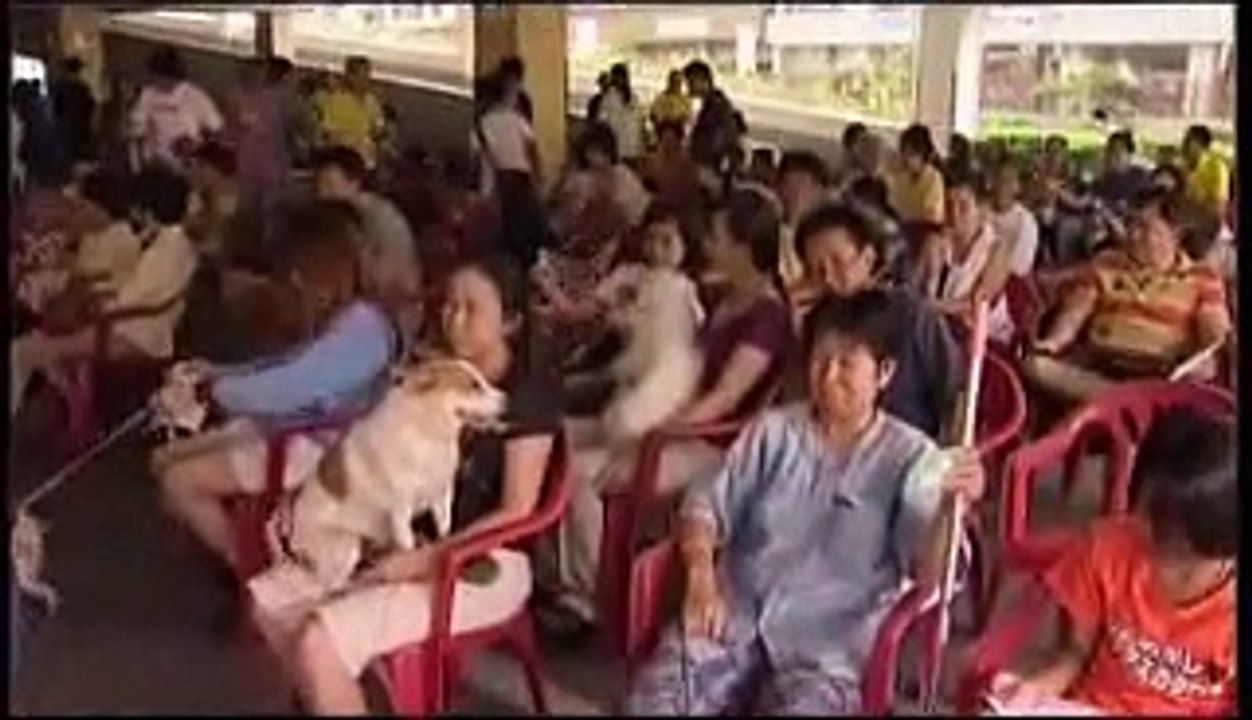 Thai Government Trying to Make Thailand Rabies Free By 2020