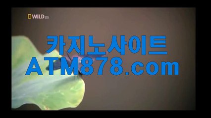 ◁ 플레이텍【【M S T 2 7 2.coM】】xo바카라드림카지노 ▣."스포츠는 승▣