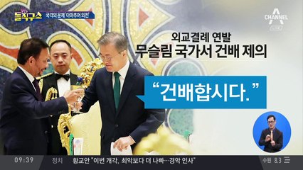 청와대, 동남아 3국 순방 때 외교적 실수 인정