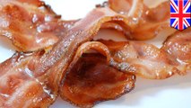 Artificial meat: Scientists make bacon on blades of grass