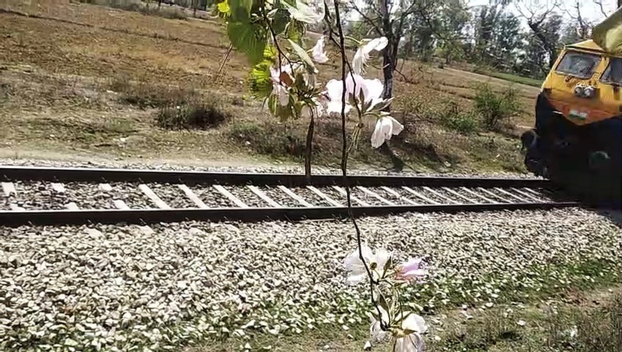 Crossing train full video