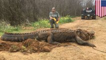 全長4メートル、体重317キロの超巨大ワニが発見される - トモニュース