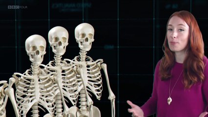 Size Matters with Hannah Fry 2of2 That Shrinking Feeling