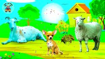 Learn Farm Animals Names and Sounds - Fun Learn Animals for kids - Kids And Toys