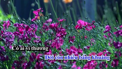 Karaoke - Nữa Đêm Ngoài Phố - Nhạc Sống