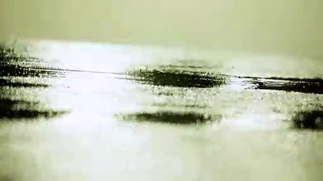 Canvas Movie