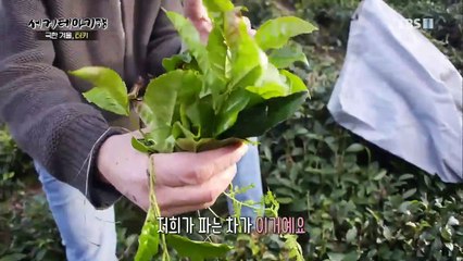 세계테마기행 - 극한 겨울 터키 2부- 흑해의 선물_#002