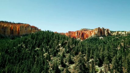 Losing The Way Movie