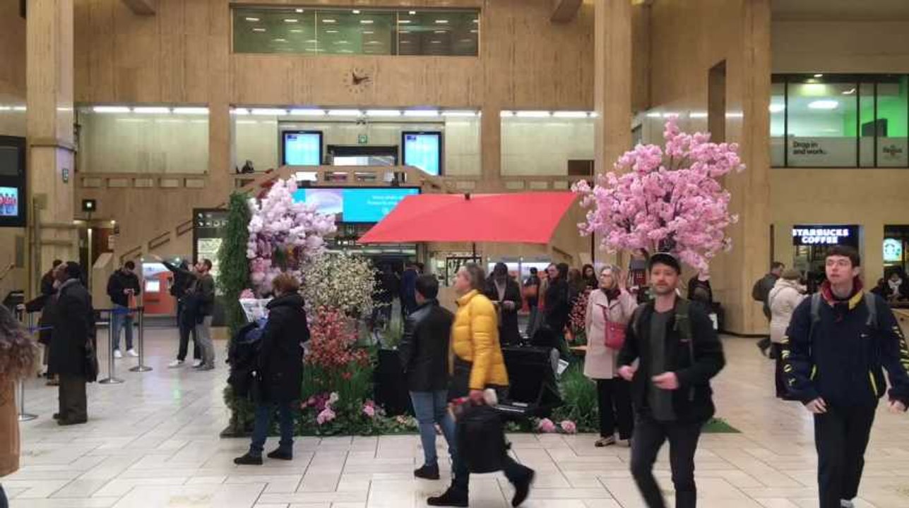 Bruxelles - Lidl installe son Garden of Eden dans la gare centrale de Bruxelles (vidéo Germani)