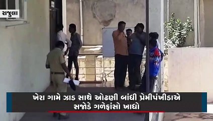 રાજુલાના ખેરા ગામે ઝાડ સાથે ઓઢણી બાંધી પ્રેમીપંખીડાએ સજોડે ગળેફાંસો ખાઇ આપઘાત કર્યો