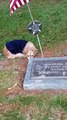 Heartwrenching moment faithful dog refuses to leave owner's grave