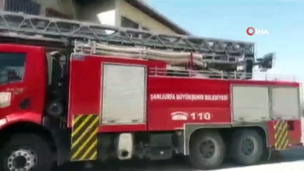 Okulun çatısında mahsur kalan güvercin kurtarıldı