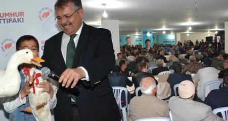 Bunu da Gördük! Belediye Başkanı Ördeklere Nikah Kıydı