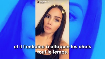 Manon Marsault : la patte du chat de son frère sectionnée par un piège à loup, elle s’en prend à son voisin !