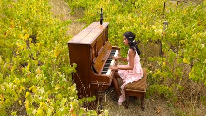 Van-Anh Nguyen - Don't Worry, Be Happy / Prelude (From Prelude And Fugue In C, BWV 547)