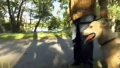 Dog Whisperer S04E14 Curly and Baxter