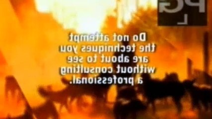 Dog Whisperer S04E16 Marley and Piper