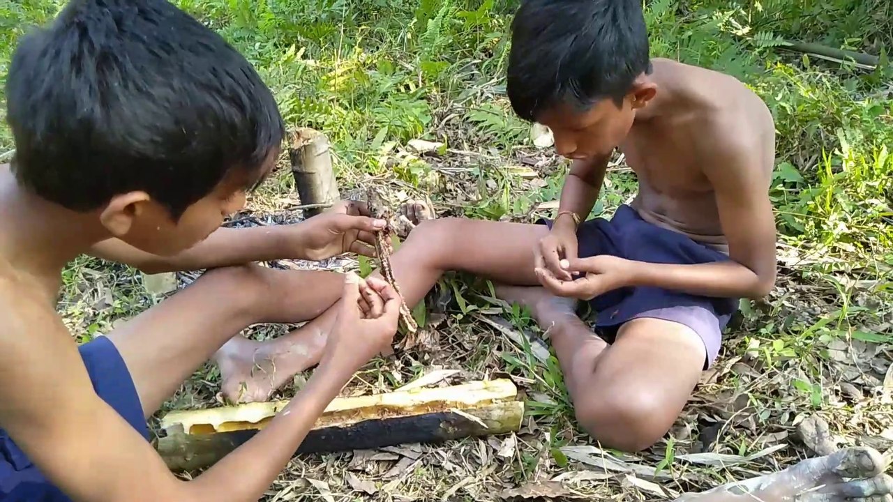 Cooking eel fish in papaya tree- Eating delicious eel fish- primitive technology