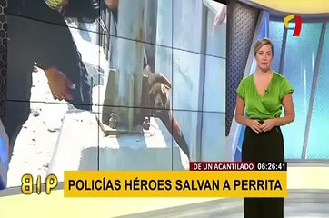 Callao: policías rescatan a perrita perdida en acantilado de La Costanera
