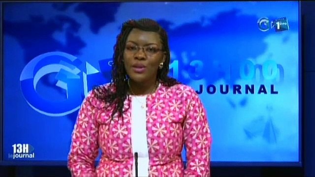 RTG - Audience du Premier Ministre avec le représentant spécial pour la Roumanie au Gabon