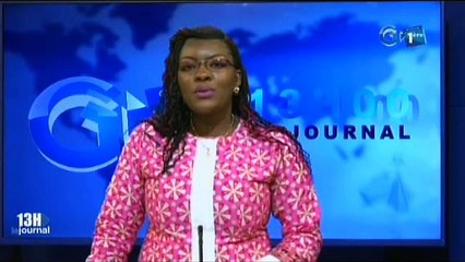 RTG - Audition du Ministre du pétrole à l’assemblée nationale face aux députés