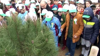 'Denetimli' fidan dikimi