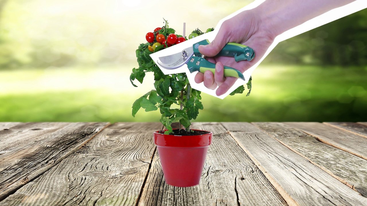 Comment revitaliser la pelouse ?