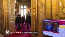 Affaire Benalla : le Sénat saisit la justice