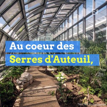 EXCLU - Découvrez le nouveau court Simonne-Mathieu de Roland Garros !