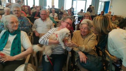 Montigny-Le-Tilleul-ISPPC-Home Quiétude-SPA-Chiens