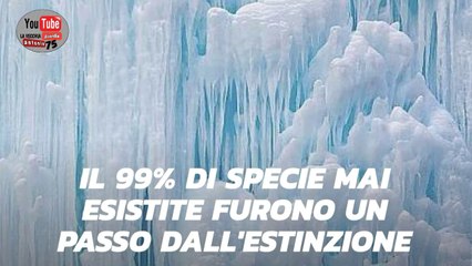 Terra a palla di neve snowball ground