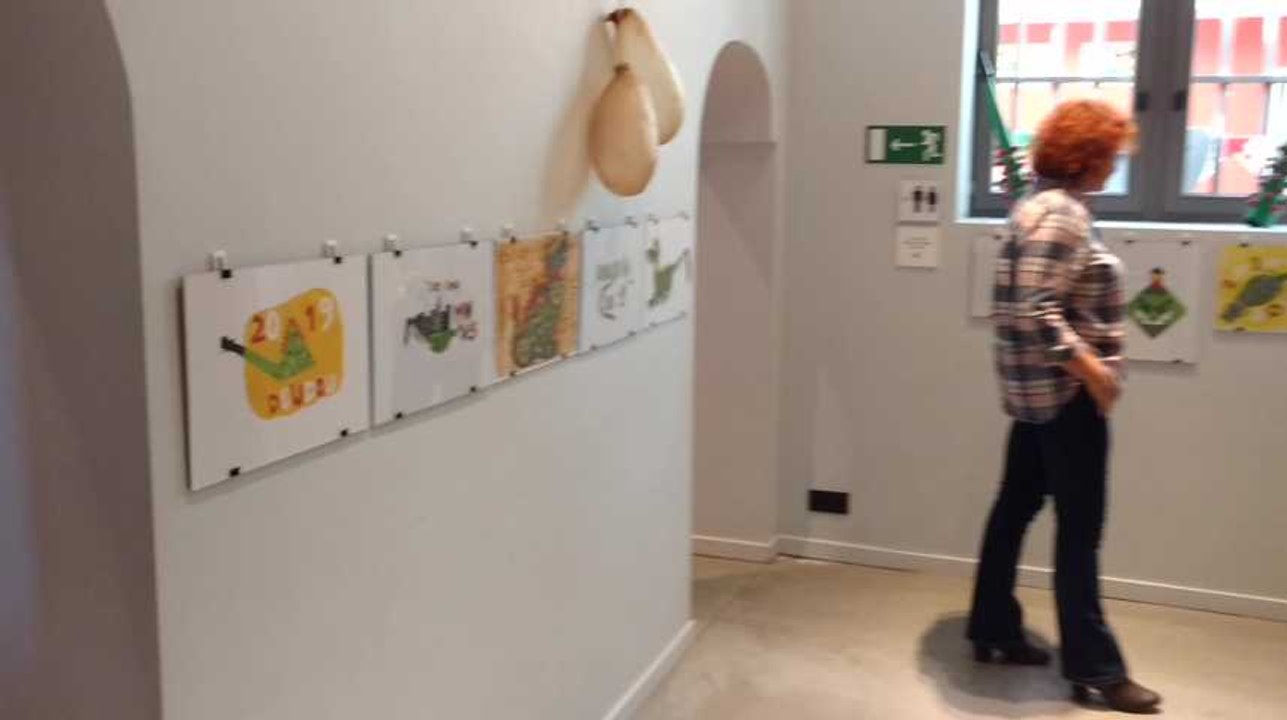 Mons. Le Doudou Illustré s' exposé.Video Eric Ghislain