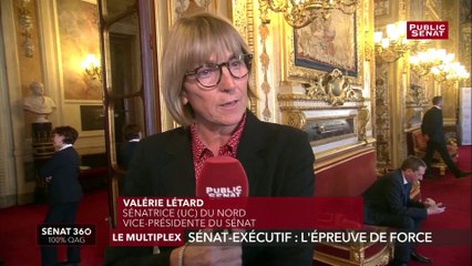 Affaire Benalla : Valérie Létard précise la composition du rapport