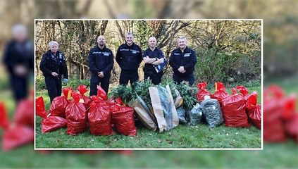 NEWS: 22nd March 2019