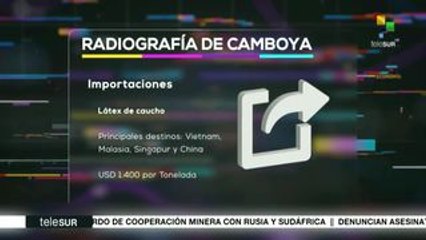 Impacto Económico: Industria automotriz de Argentina se derrumba