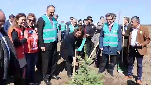 Adalet Ormanı'na ilk fidanlar dikildi - EDİRNE