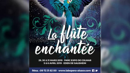 Le Labopéra d'Alsace et "La Flûte Enchantée", le projet 2019 !