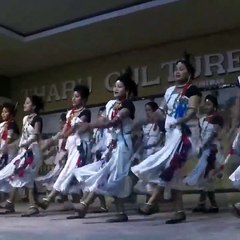 Tharu Culture Program - Dance Program - Sauraha -Sajal