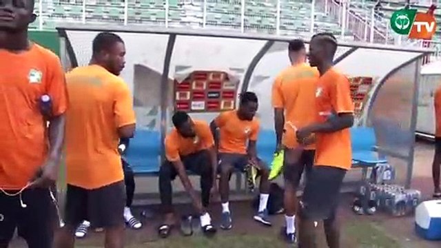 1ère séance d'entrainement des éléphants de Côte d'Ivoire au Felicia