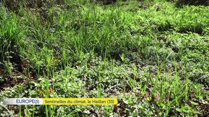 Europe(s) - Cistude Nature